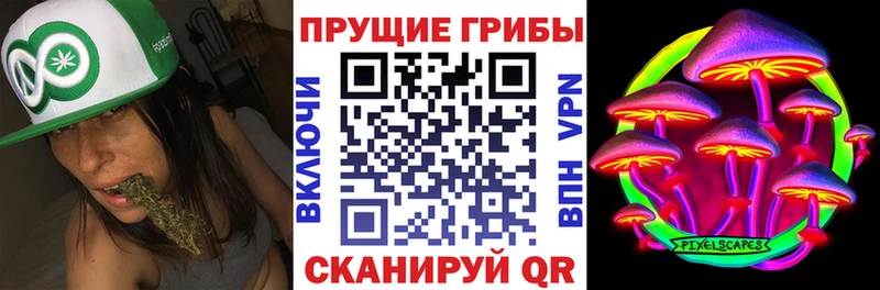 Галлюциногенные грибы GOLDEN TEACHER  Боготол 
